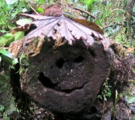 user avatar image for Constantin Terton 