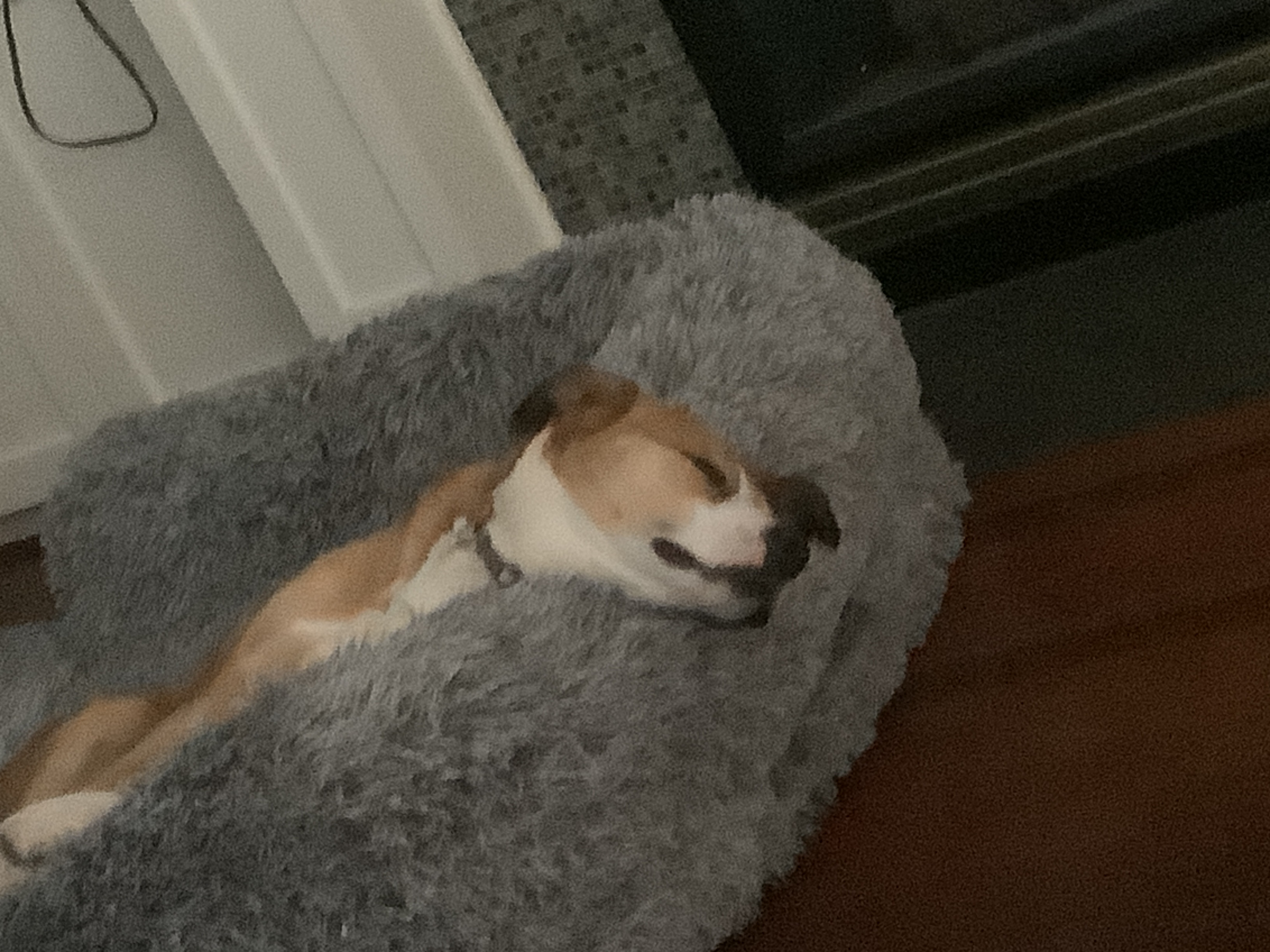 user avatar image for Kevin