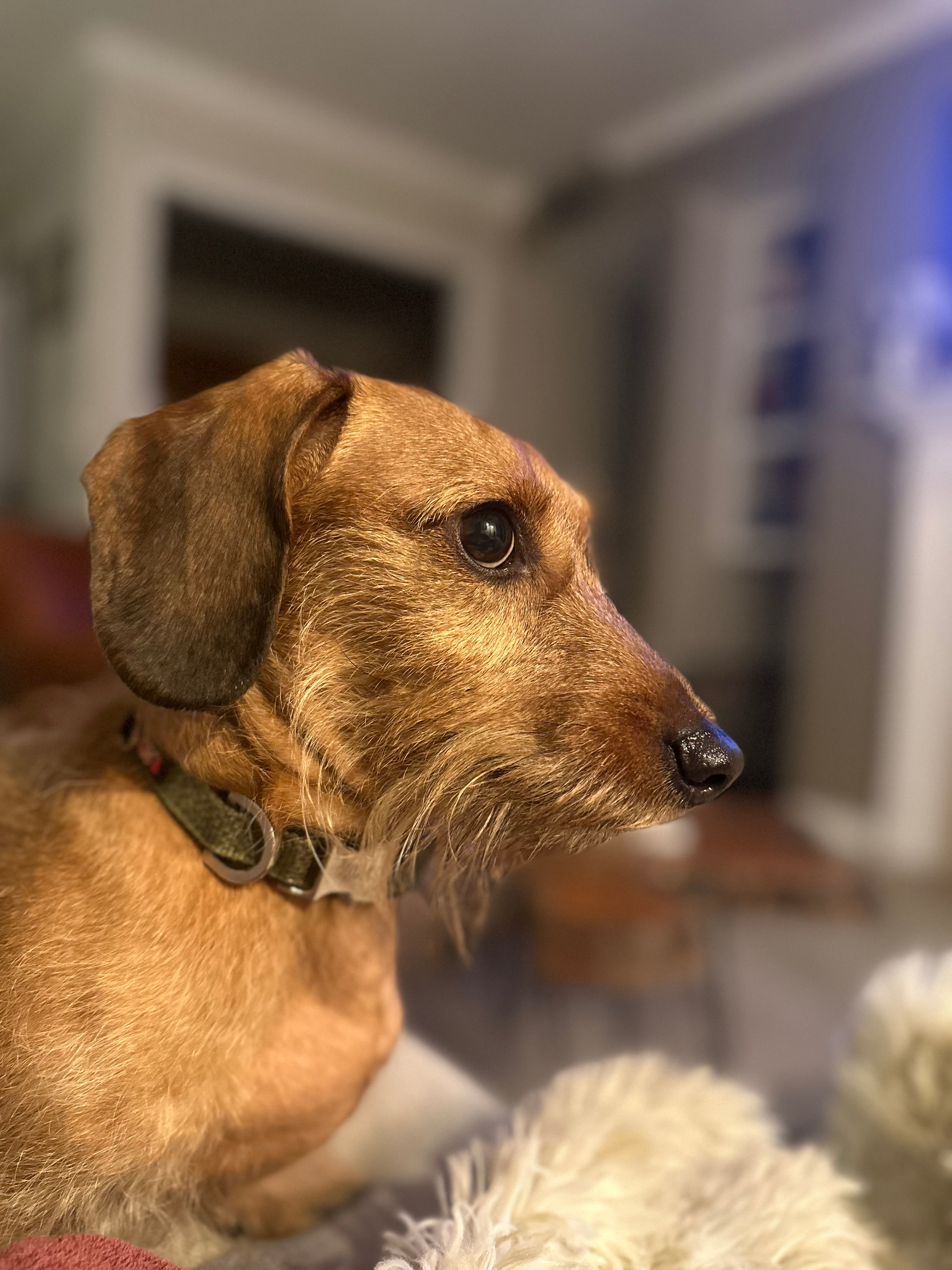 user avatar image for Claire