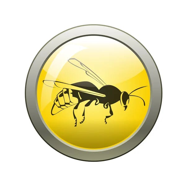 user avatar image for WaspsNests