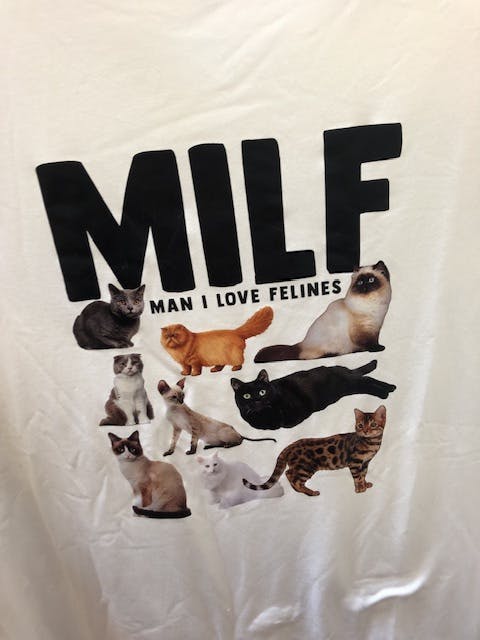 user avatar image for Sleepycatloaf