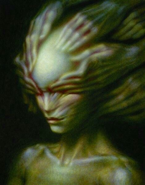 user avatar image for Smellie