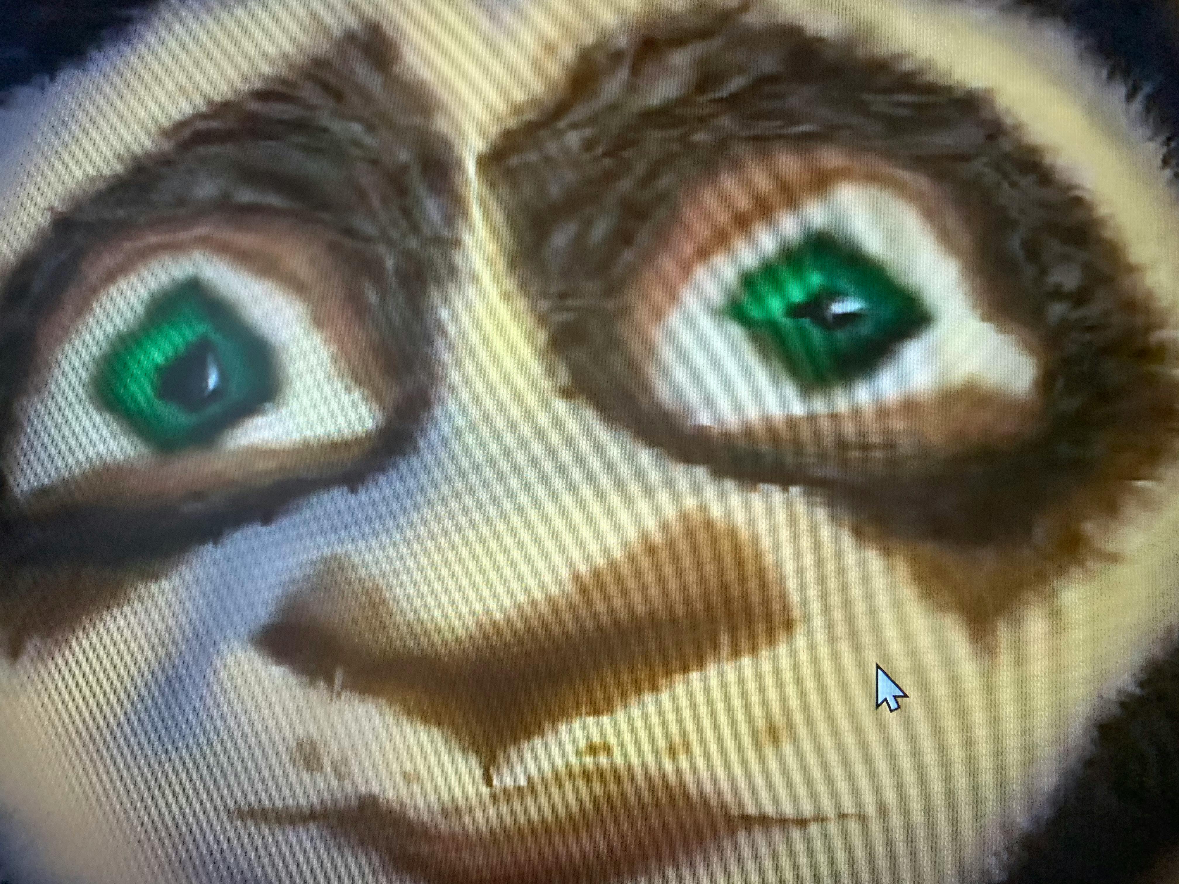 user avatar image for Girvin 
