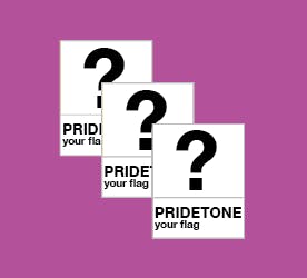 *EARLY BIRD*  3 Pintones + Mini Stickers