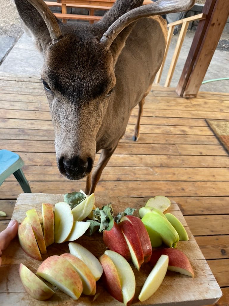 user avatar image for Valished