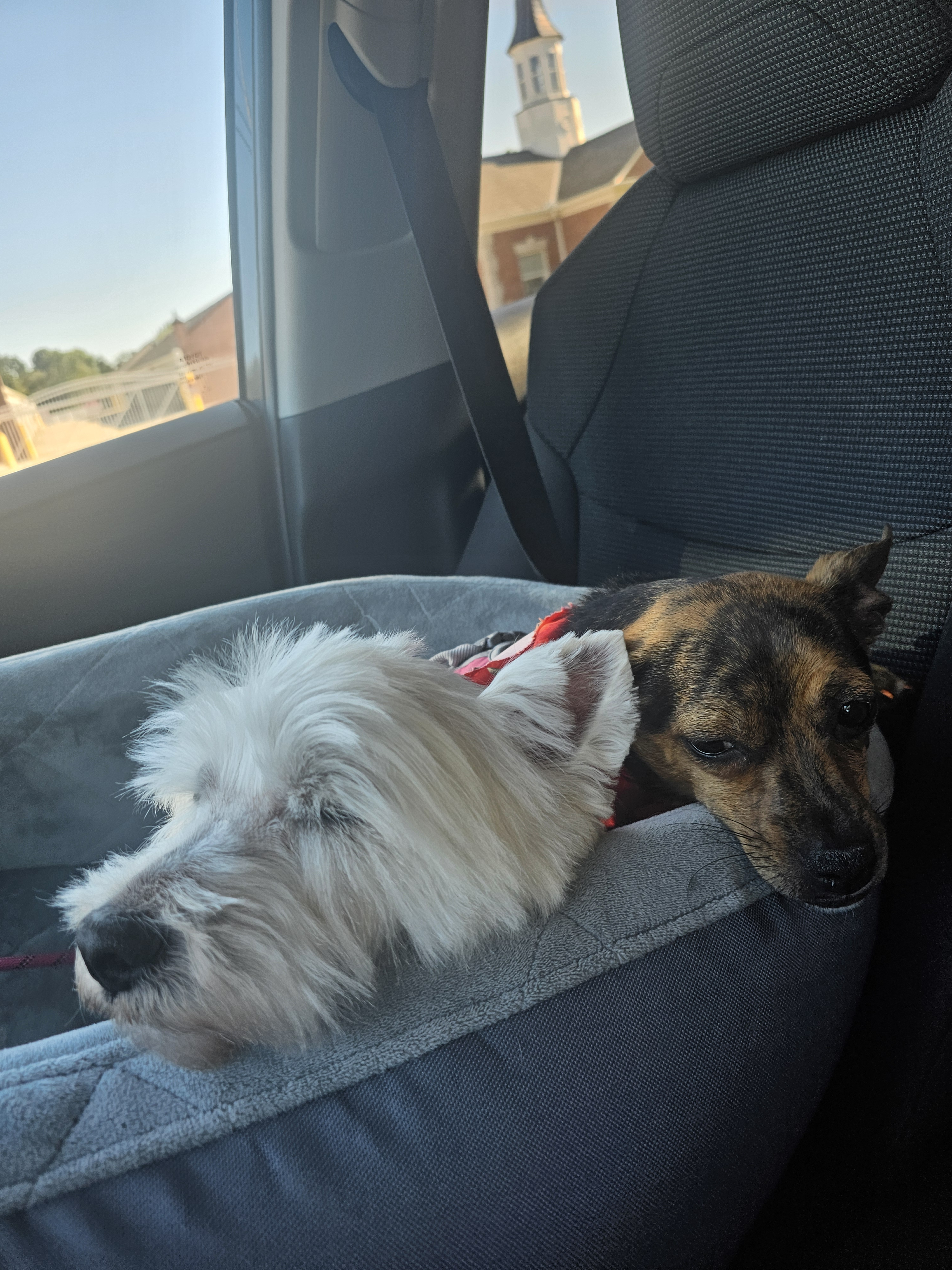 user avatar image for Dmlsys23