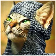 user avatar image for /amqueue