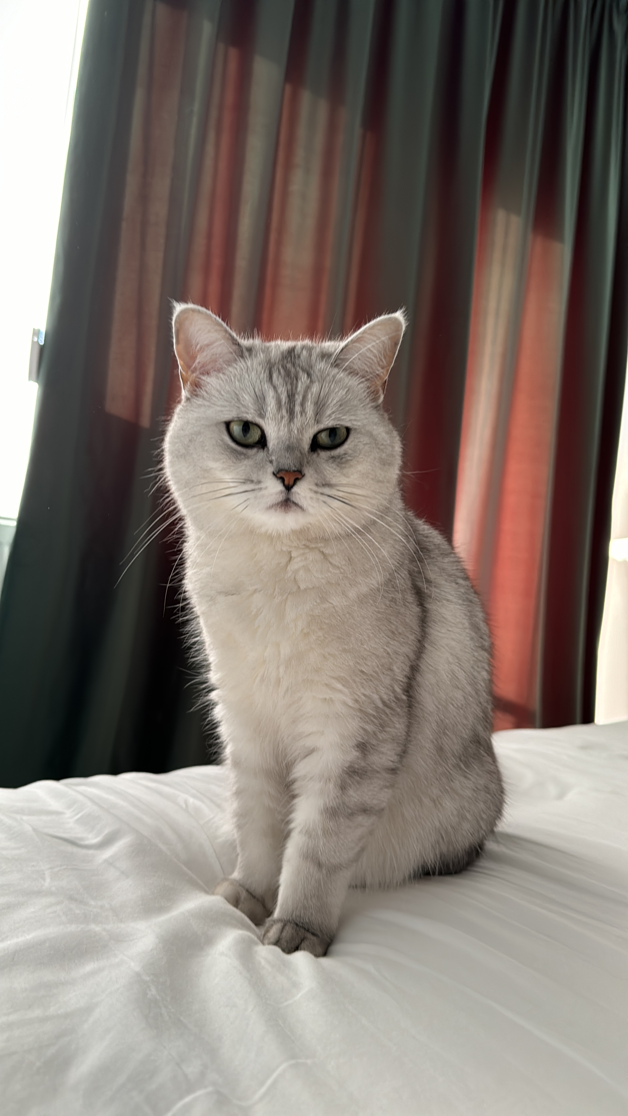 user avatar image for Larisa Ștefan 