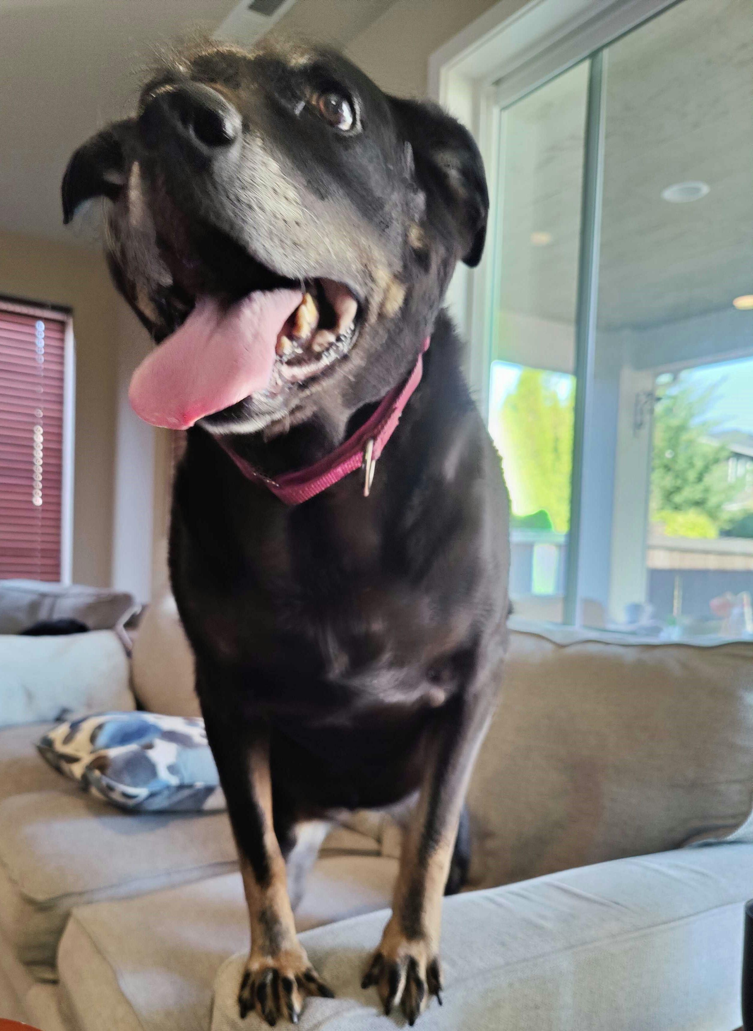 user avatar image for Lisa