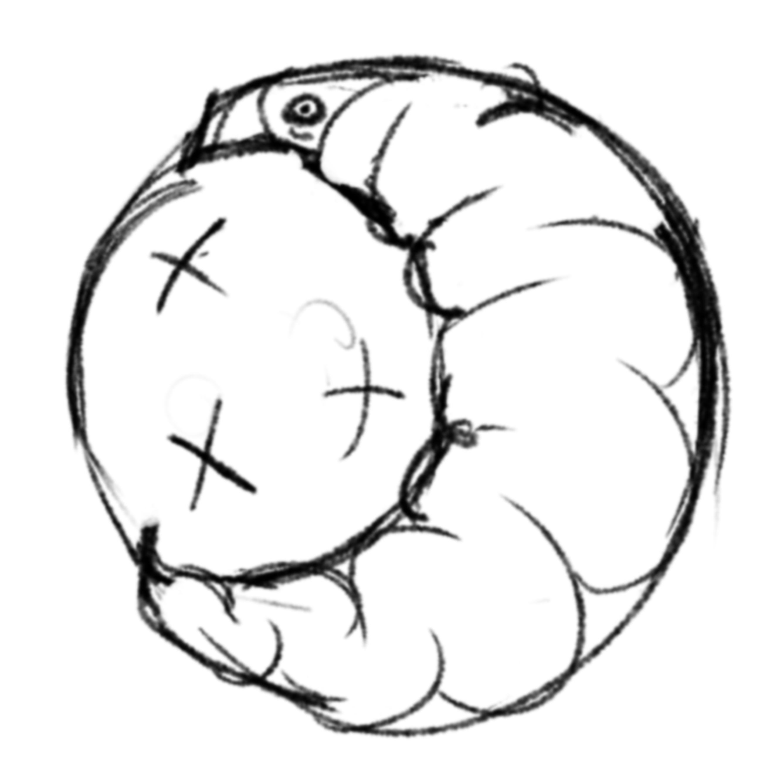 The Starworm(... 300 CHF but its more of a jokedesign)