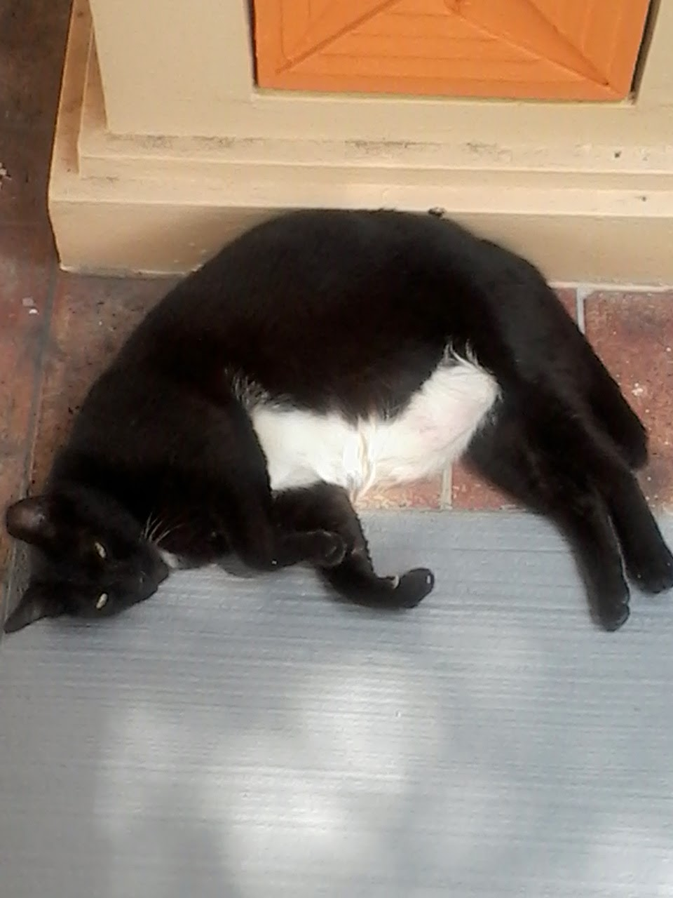 user avatar image for Annika