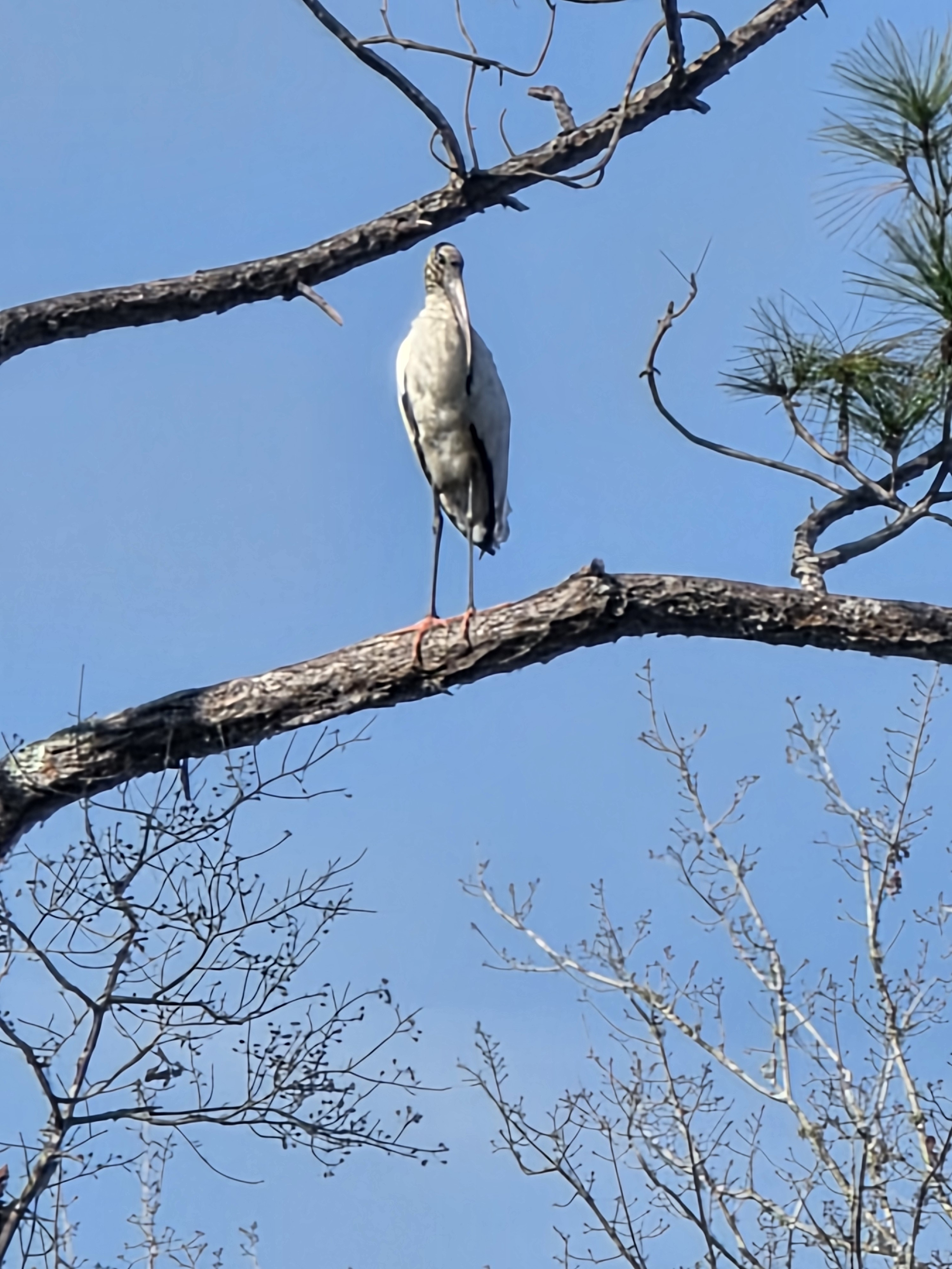 user avatar image for ZB