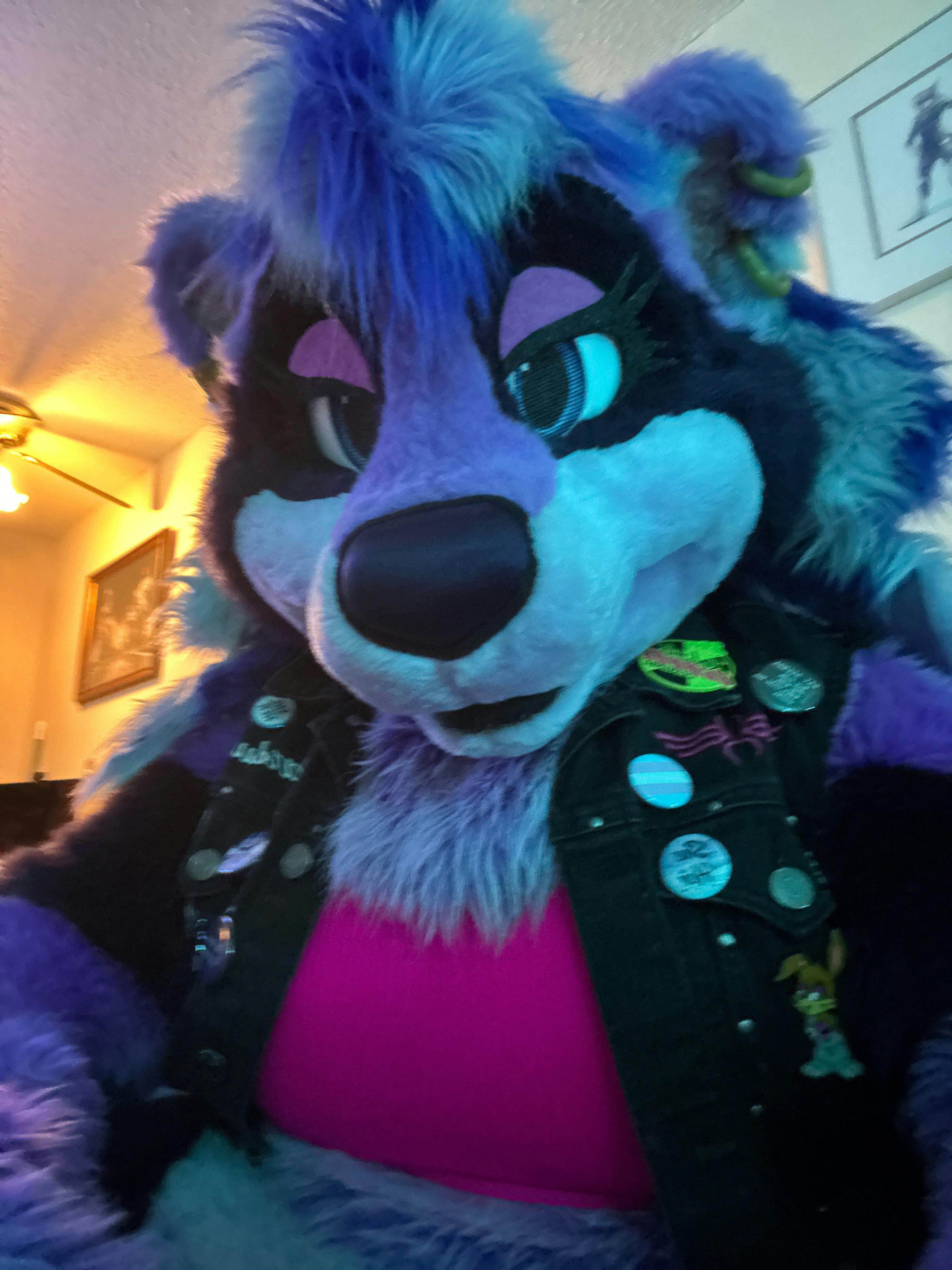 user avatar image for Judy Járnsdottir