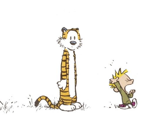 user avatar image for C P 