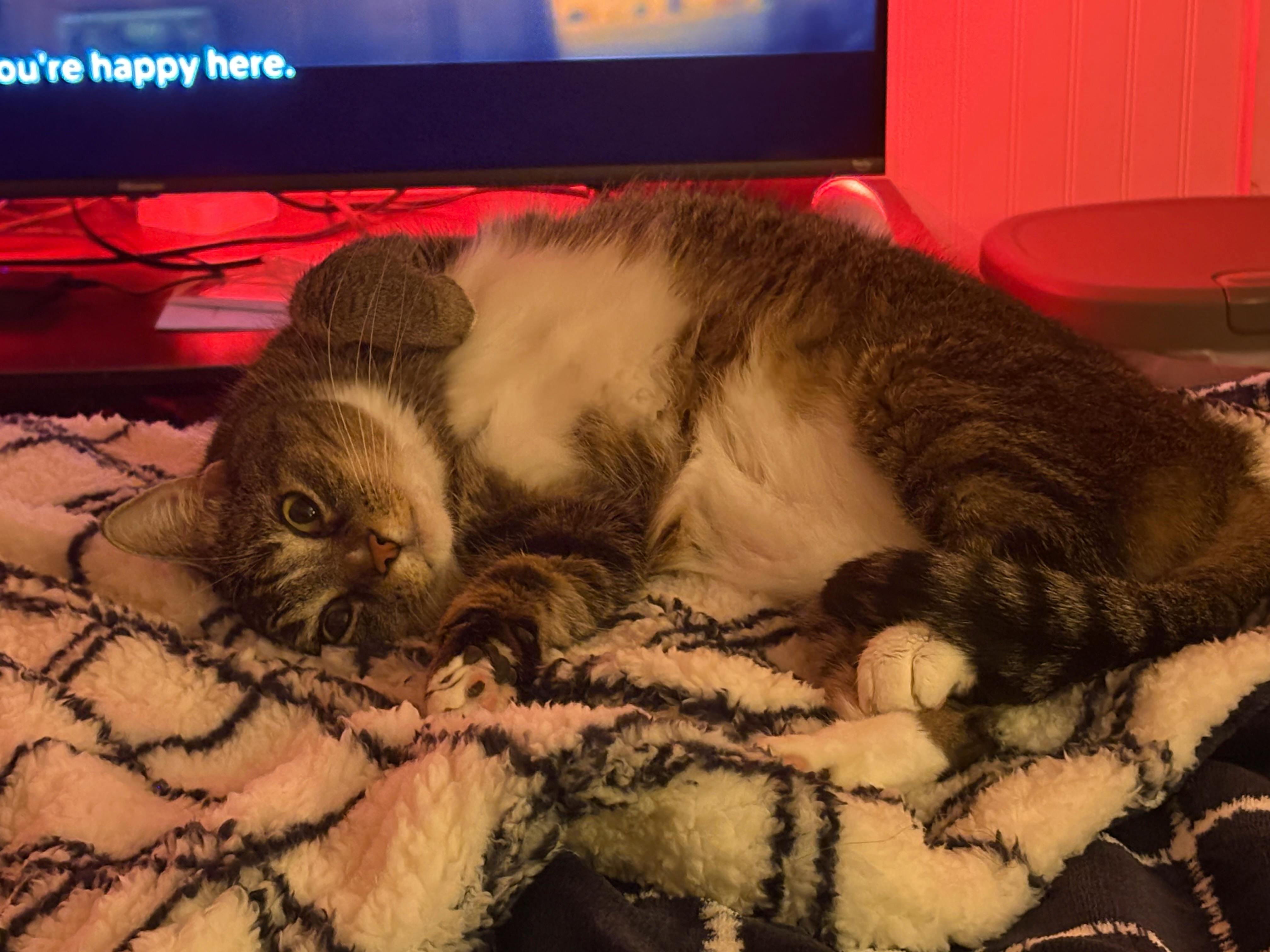 user avatar image for lovelylex