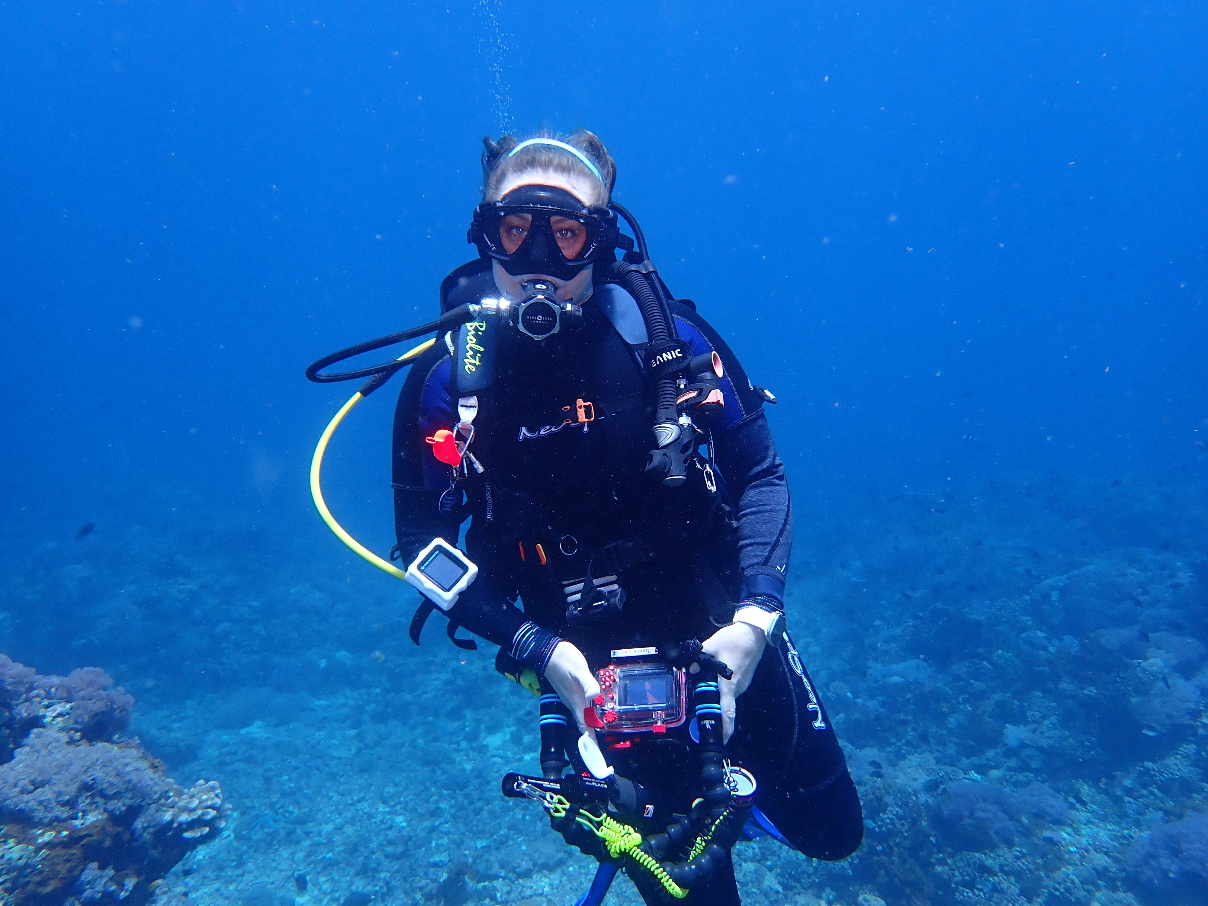 user avatar image for Bonnie Carl