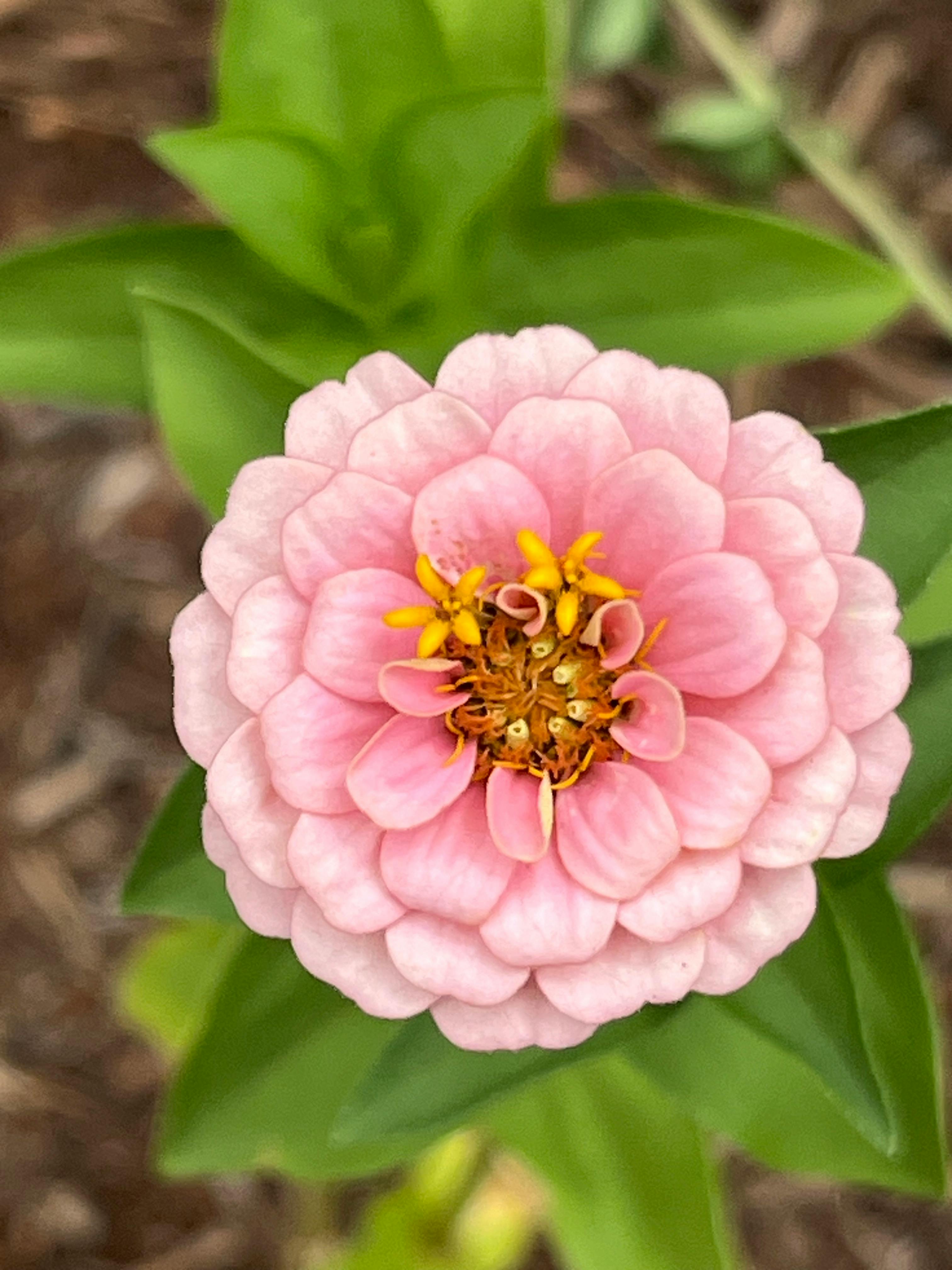 user avatar image for Ashley