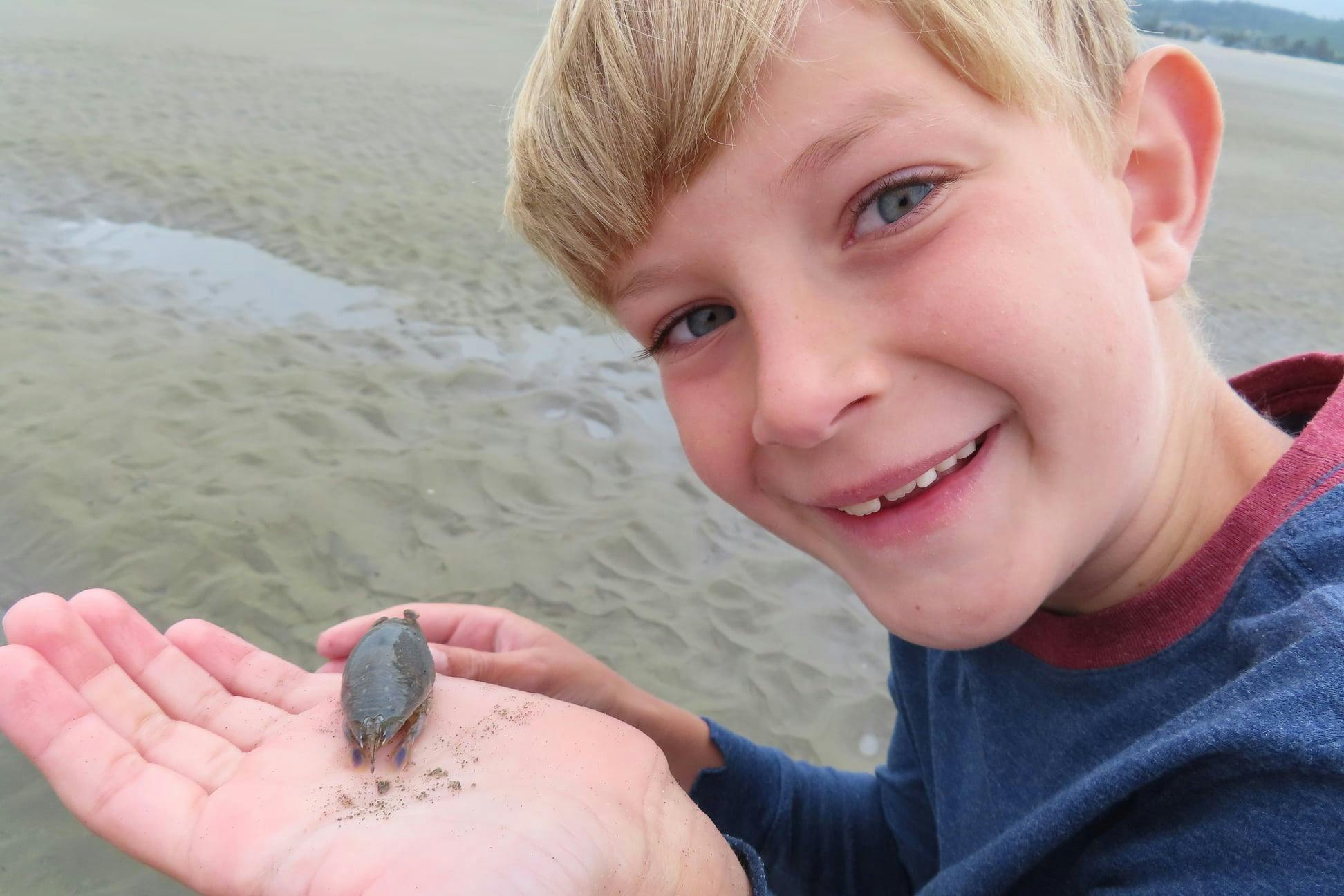 user avatar image for Jeff Sumner