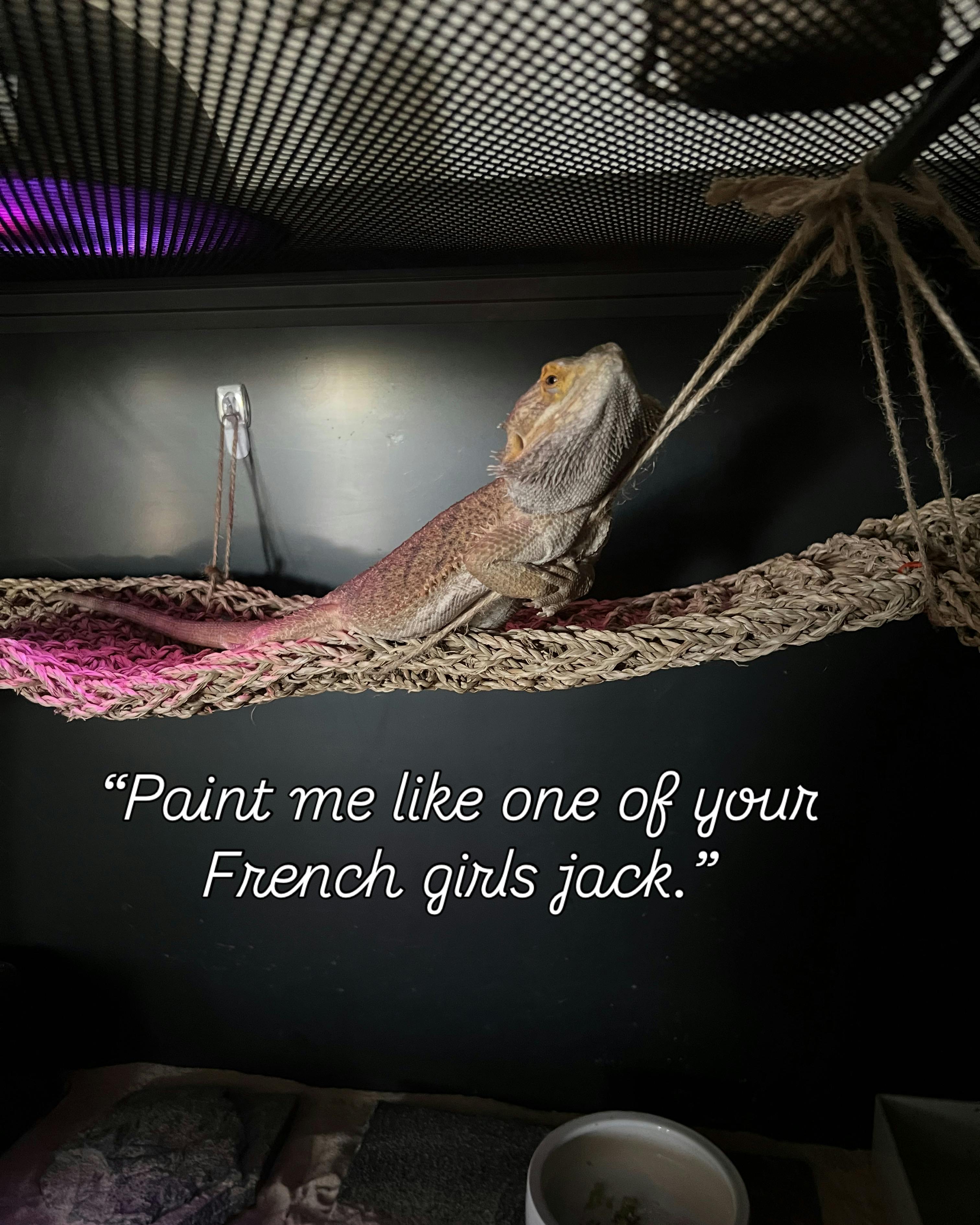 user avatar image for Hoppe