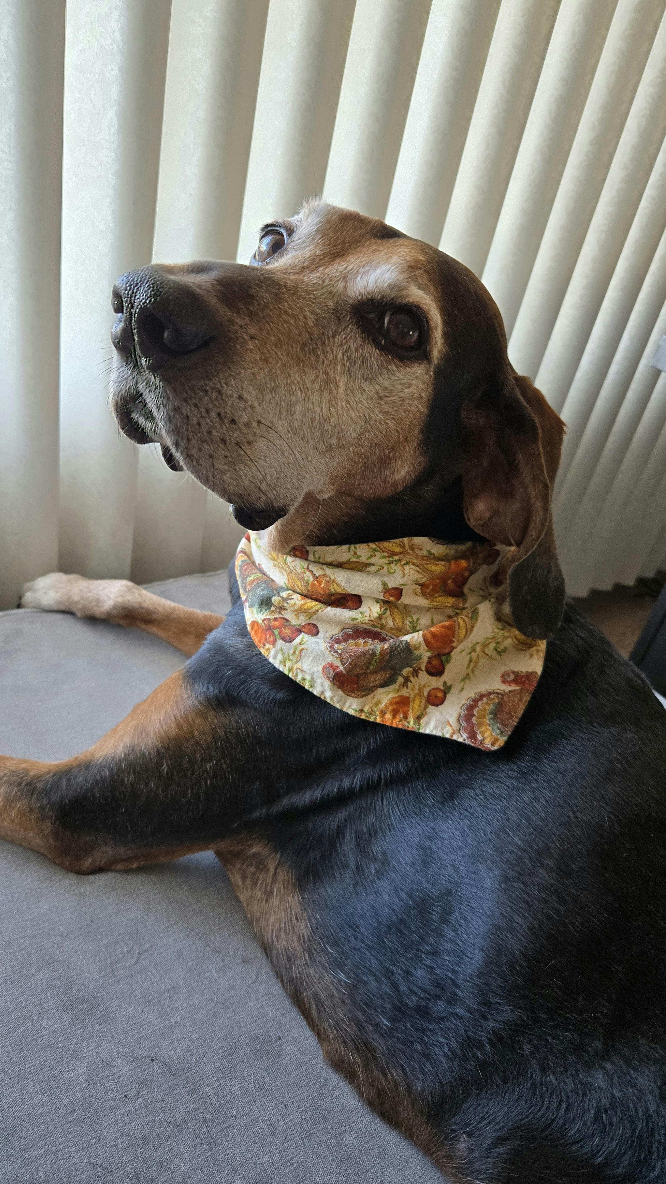 user avatar image for Julie