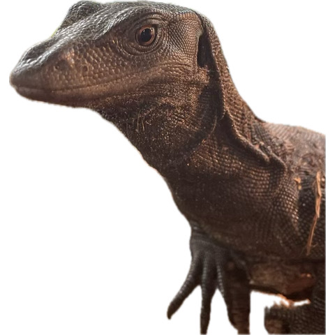 user avatar image for Madz