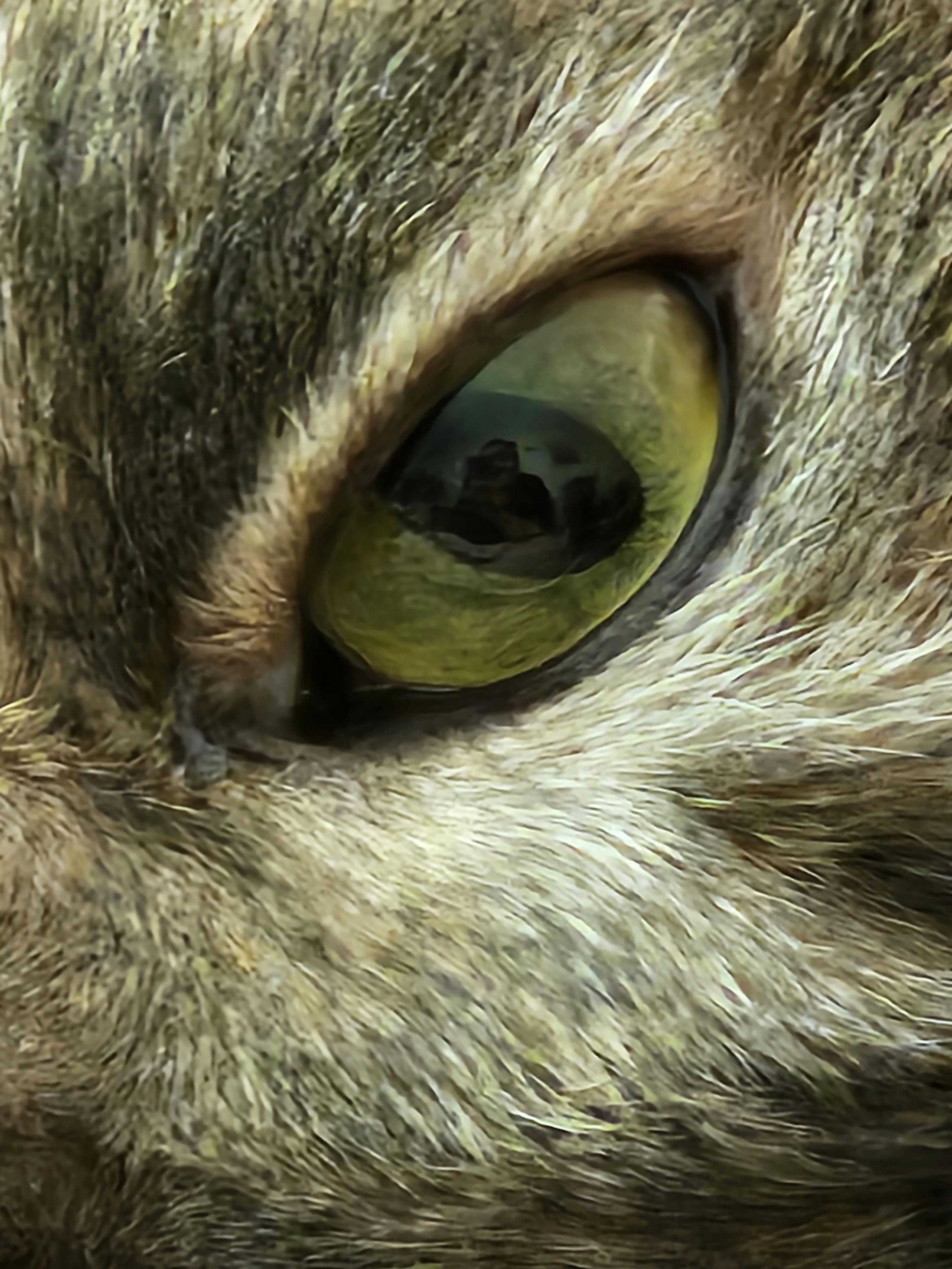 user avatar image for Moonlight Mariposa