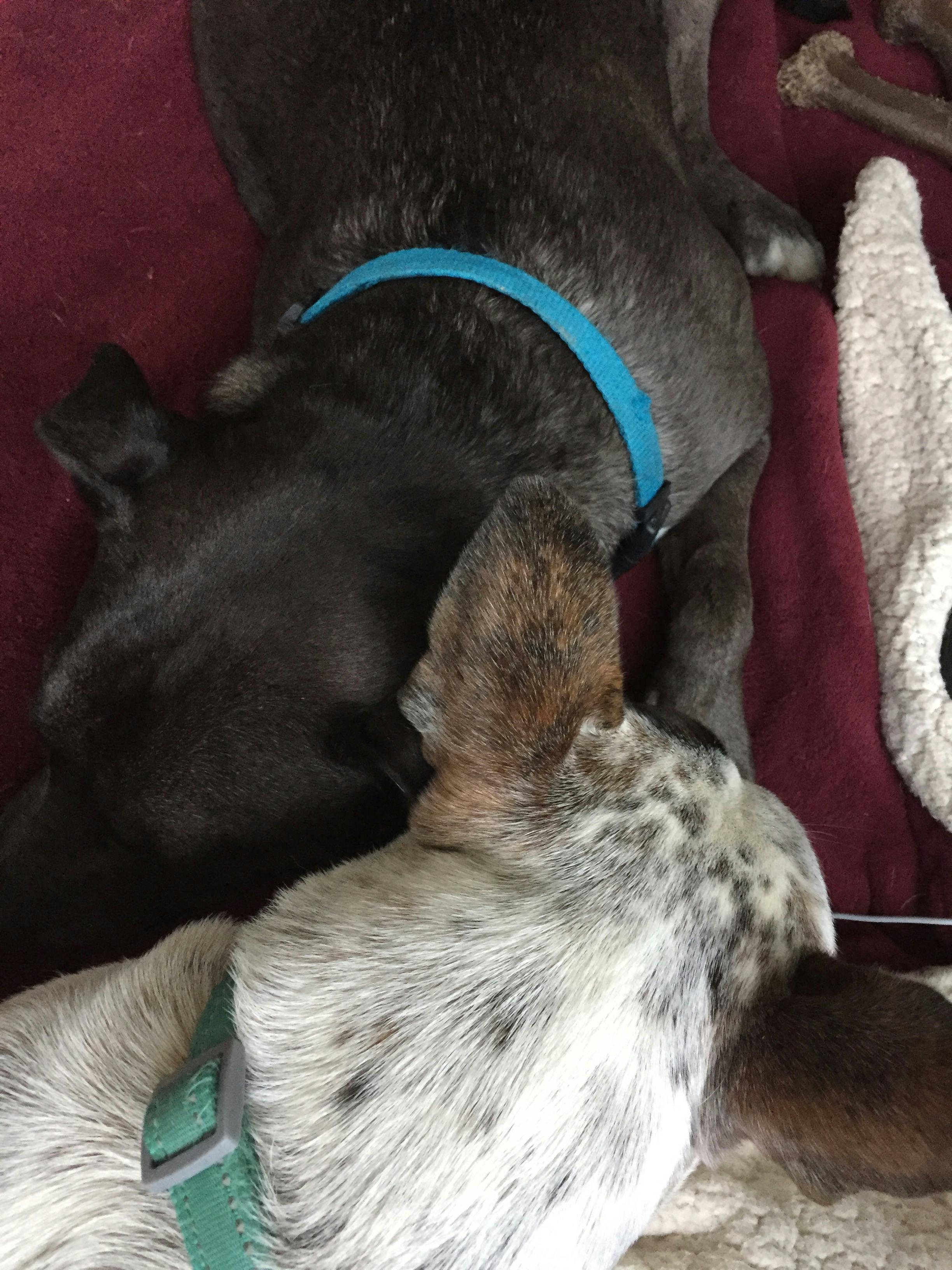 user avatar image for K N