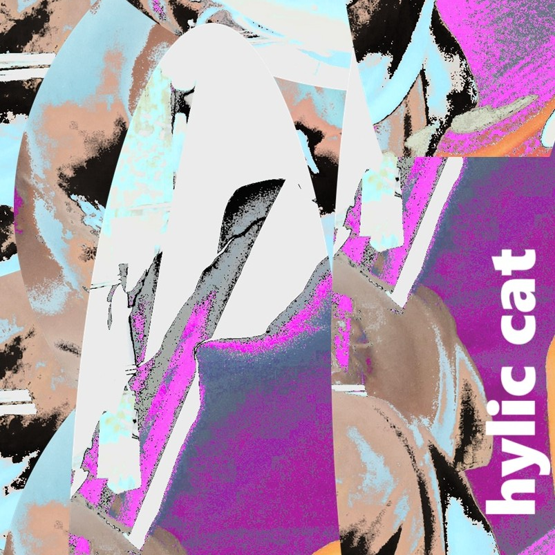 user avatar image for hylic cat