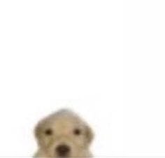 user avatar image for Tomàs Martìnez