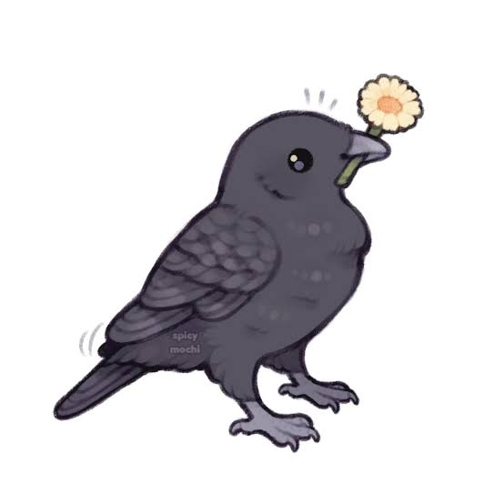 user avatar image for Steph