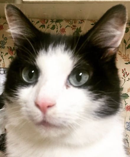 user avatar image for Hoosudaddy