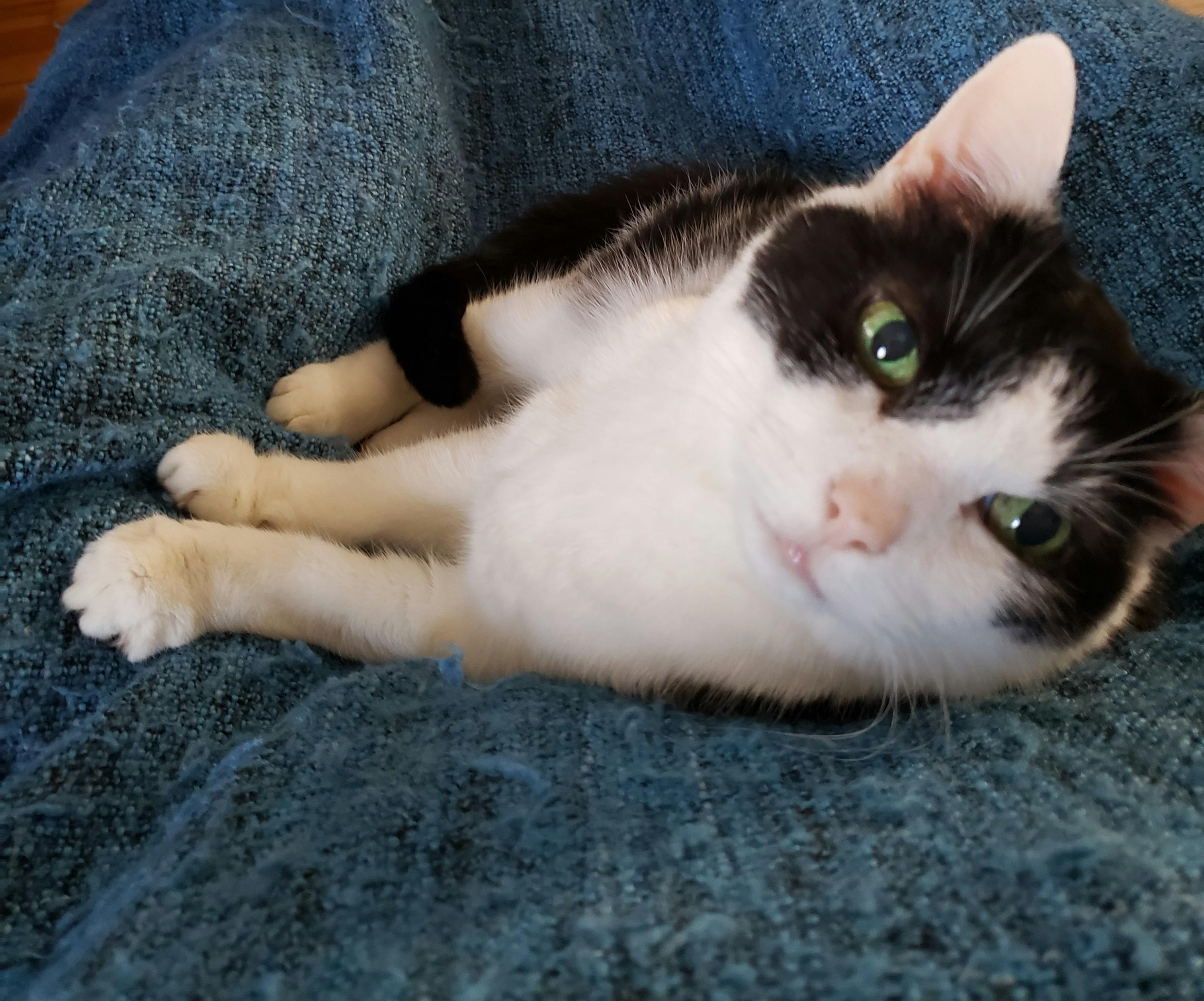 user avatar image for Jason Horowitz