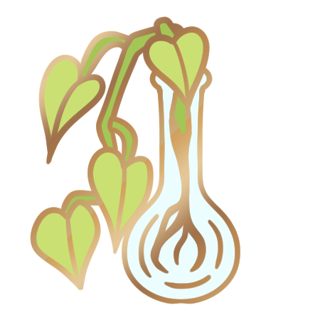 Heart-leaf Philodendron