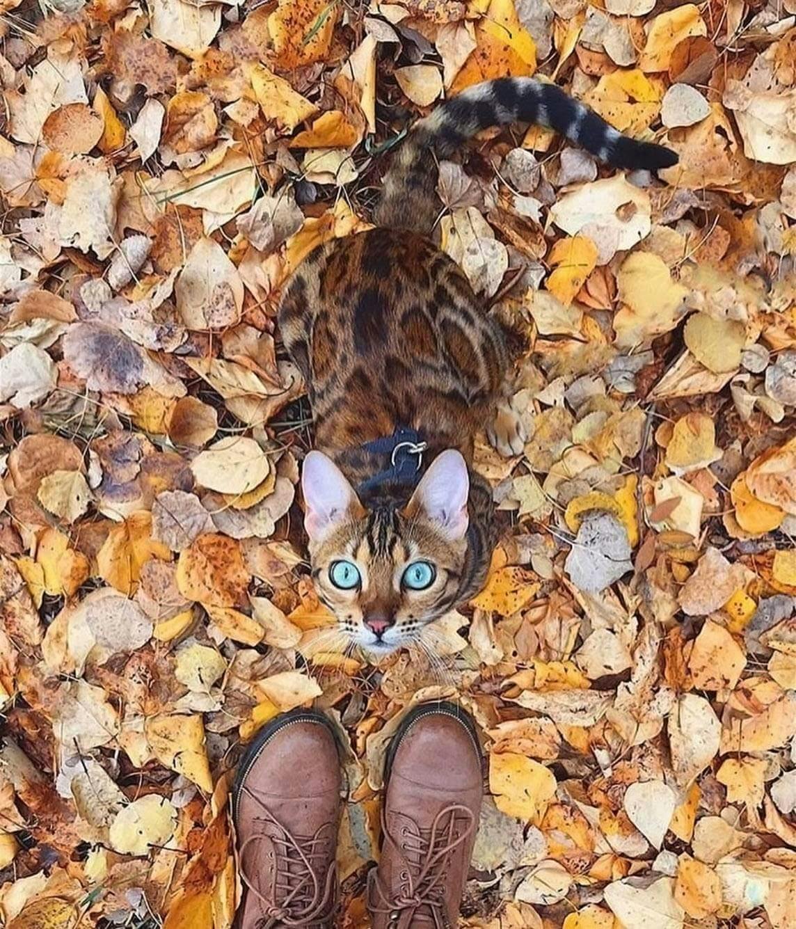 user avatar image for France Thibodeau