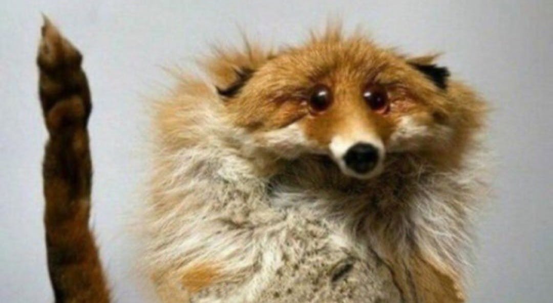 user avatar image for Natalia