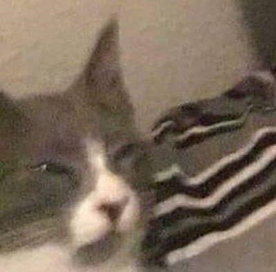 user avatar image for Foxlemon