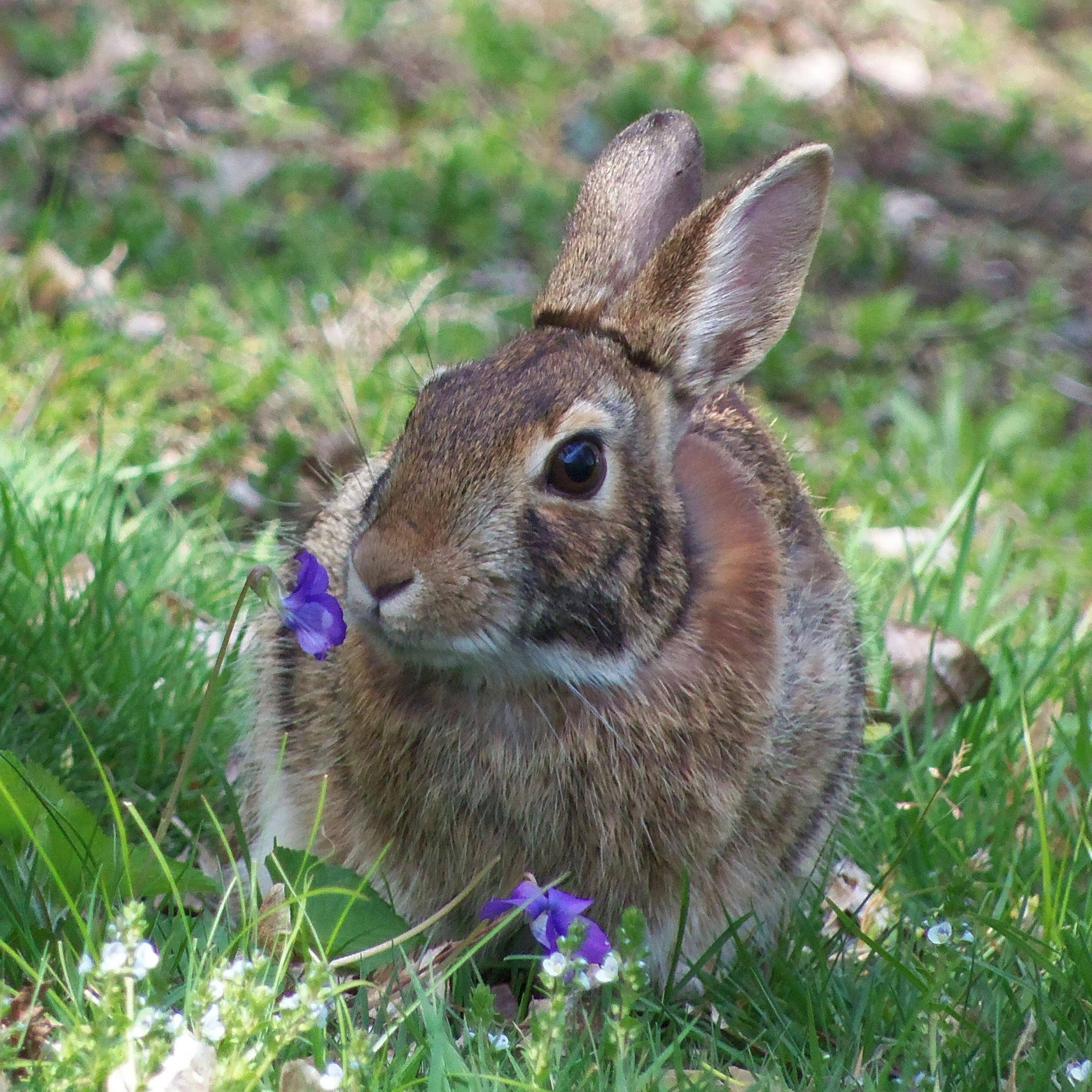 user avatar image for Griff