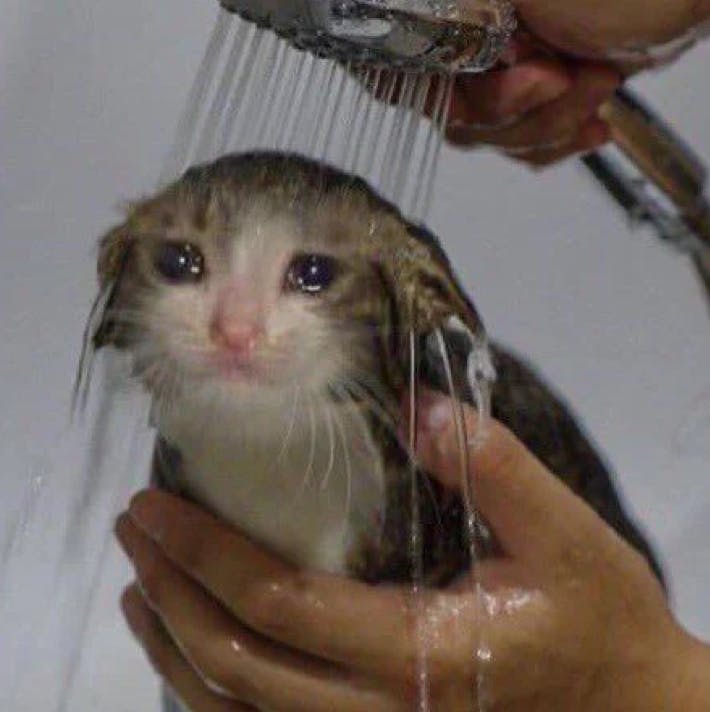 user avatar image for Trinity Hulen