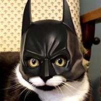 user avatar image for DuoMatrix