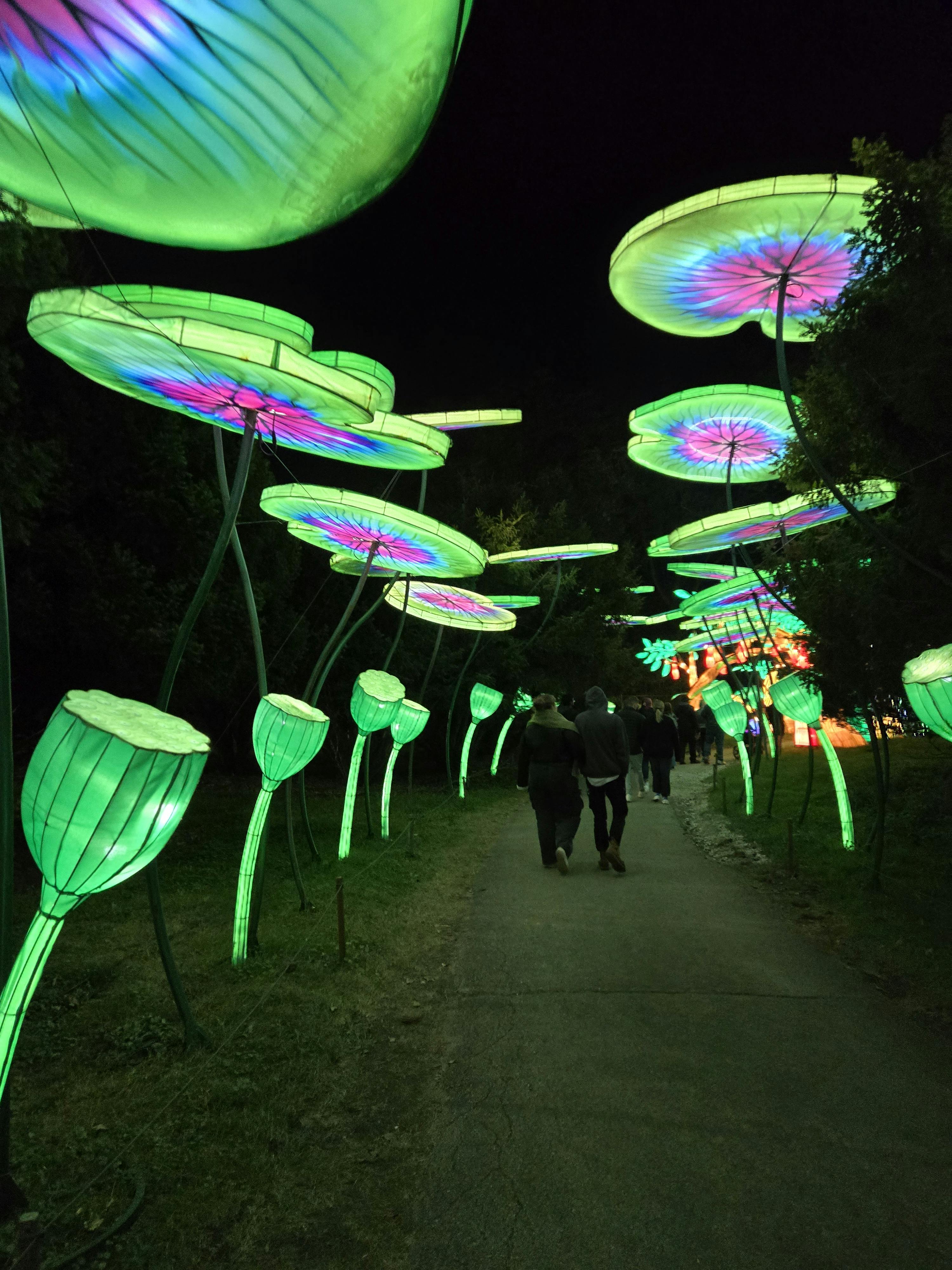 user avatar image for Benson