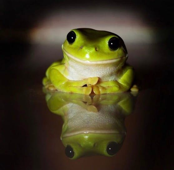 user avatar image for Ryan Lybarger