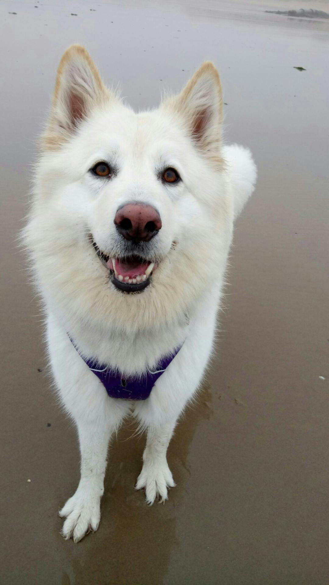 user avatar image for taylor