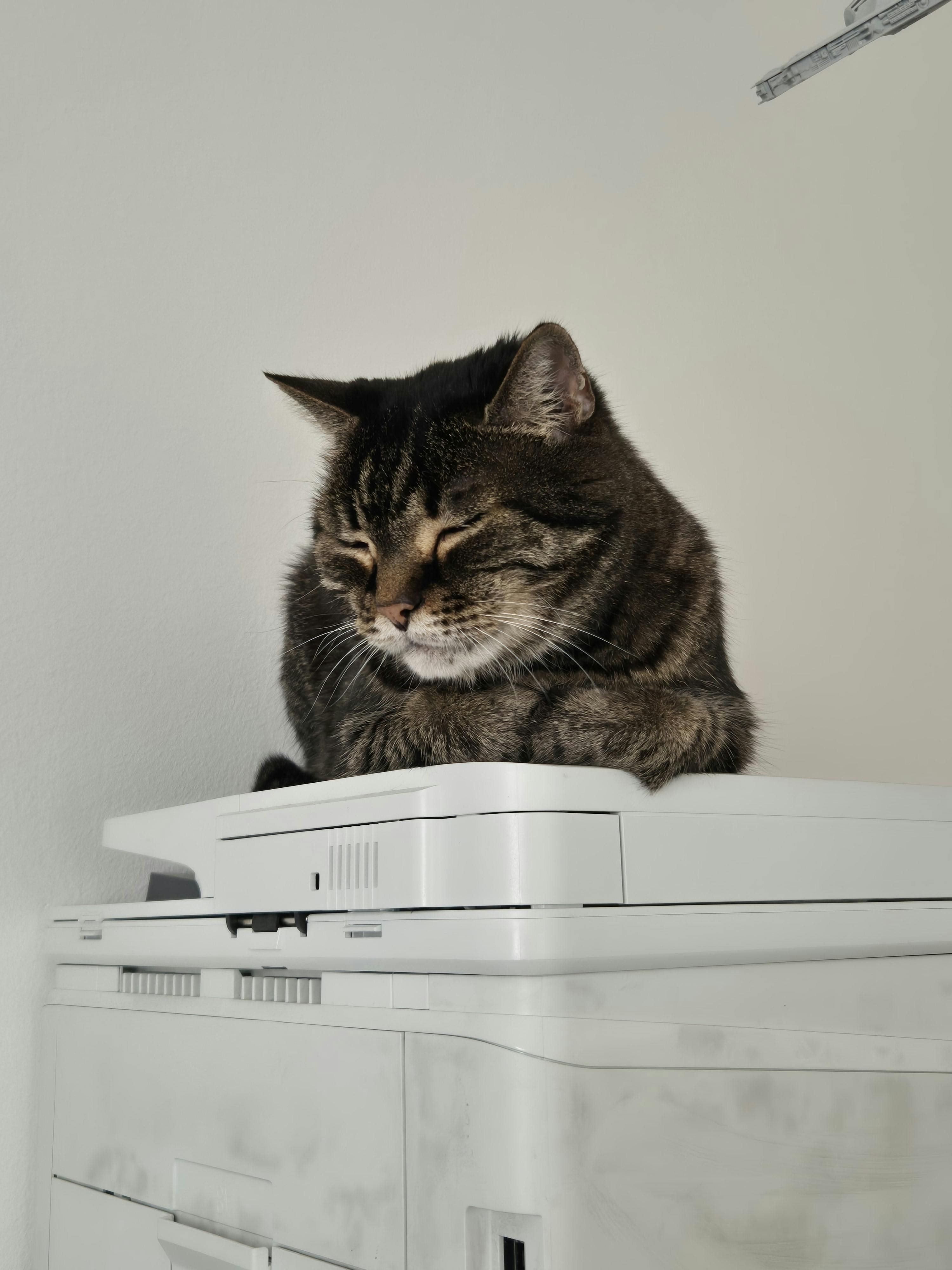 user avatar image for nela