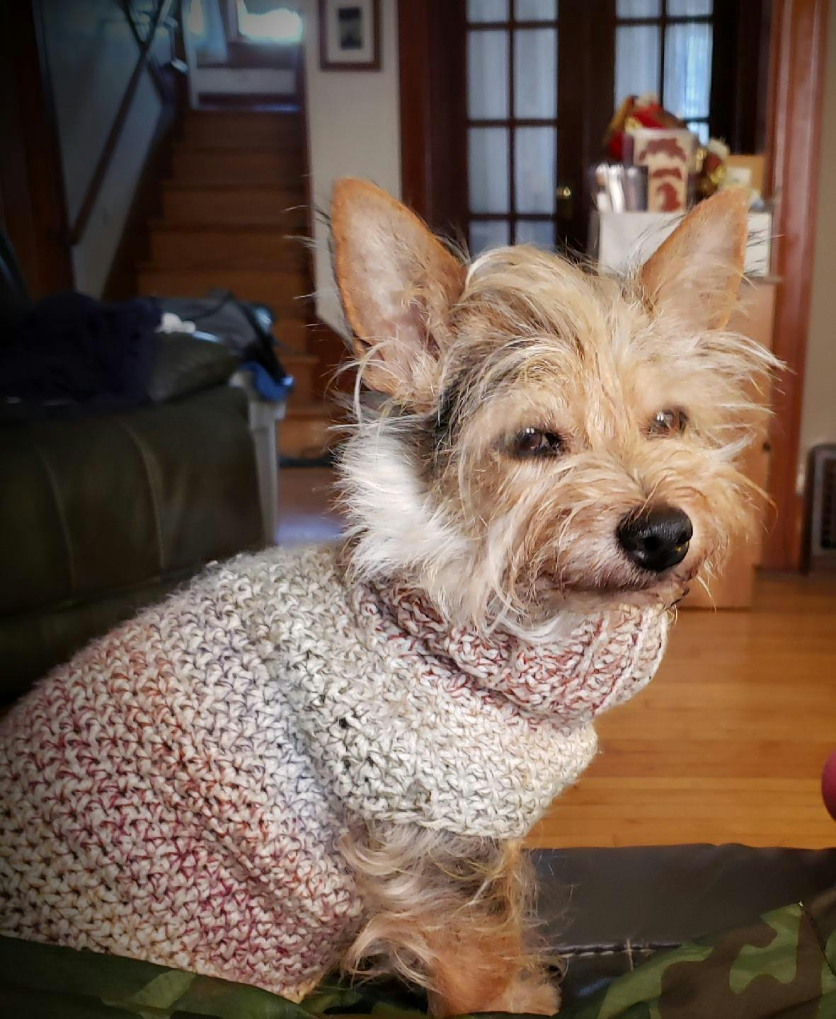 user avatar image for Avrumok