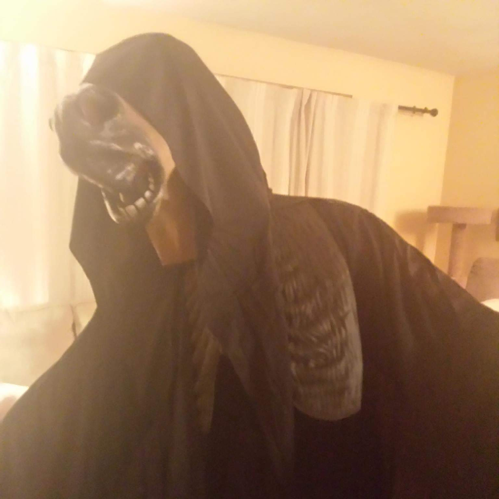 user avatar image for The Thin King