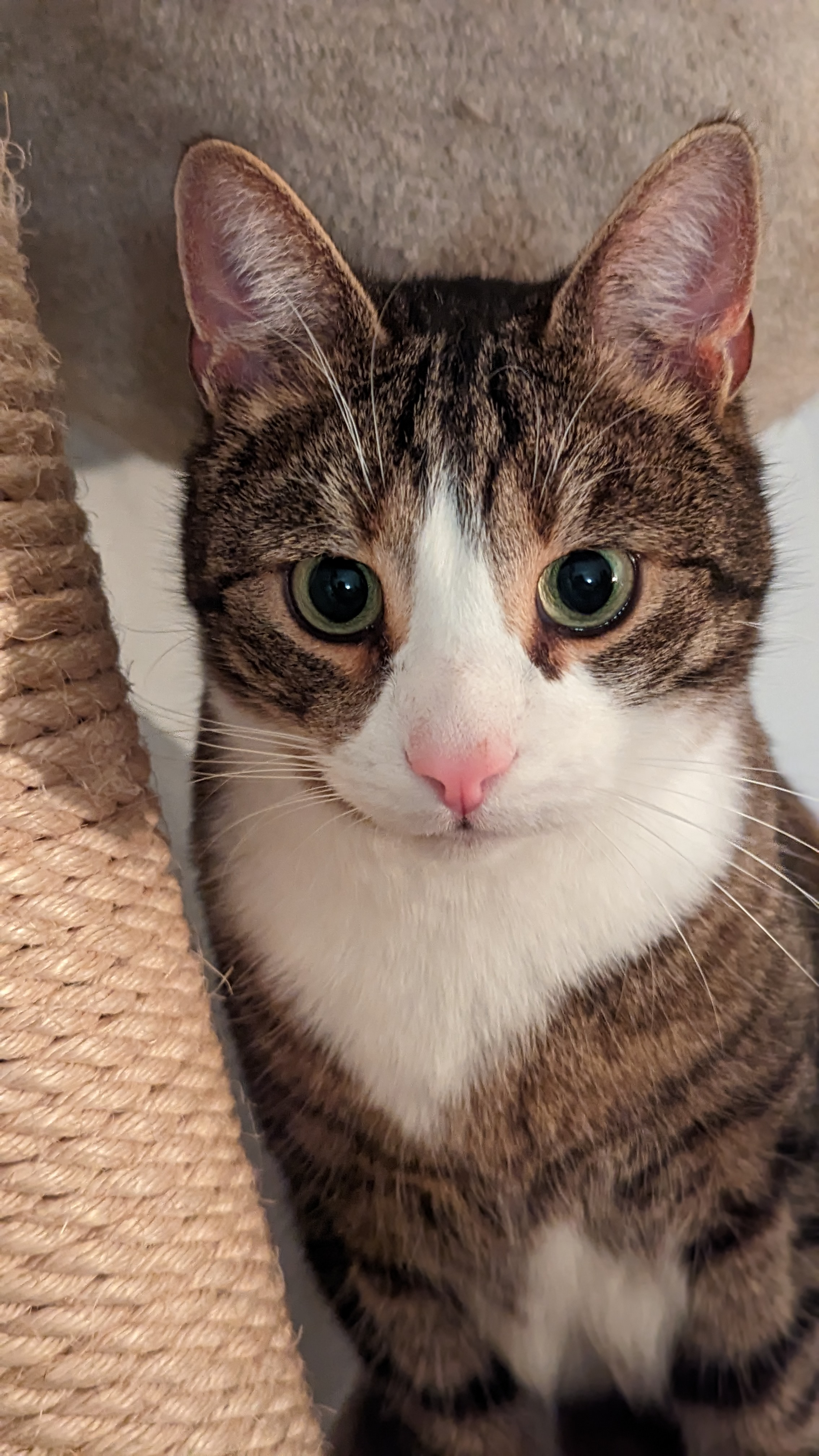 user avatar image for Stephan