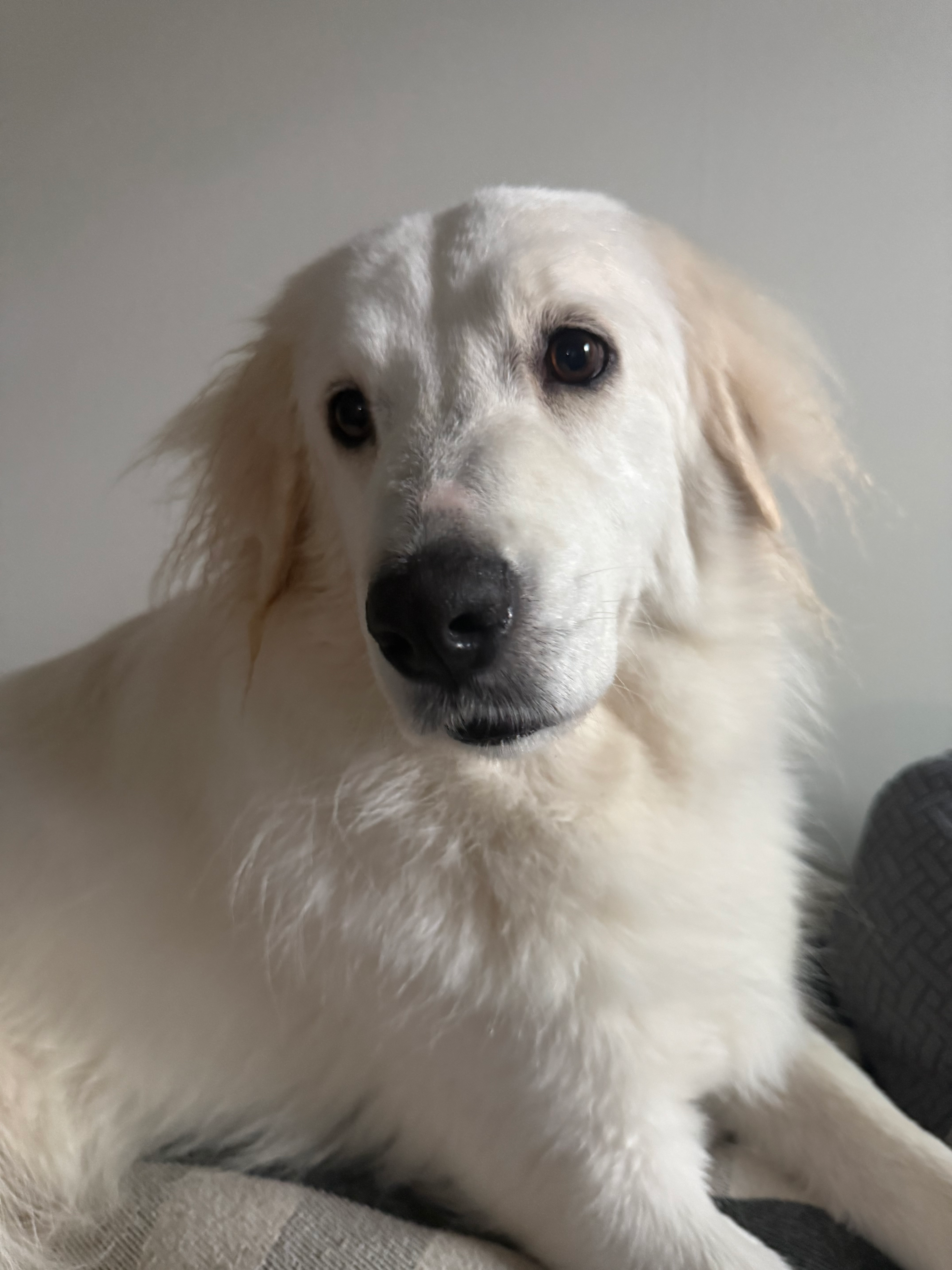 user avatar image for Alan Gantert