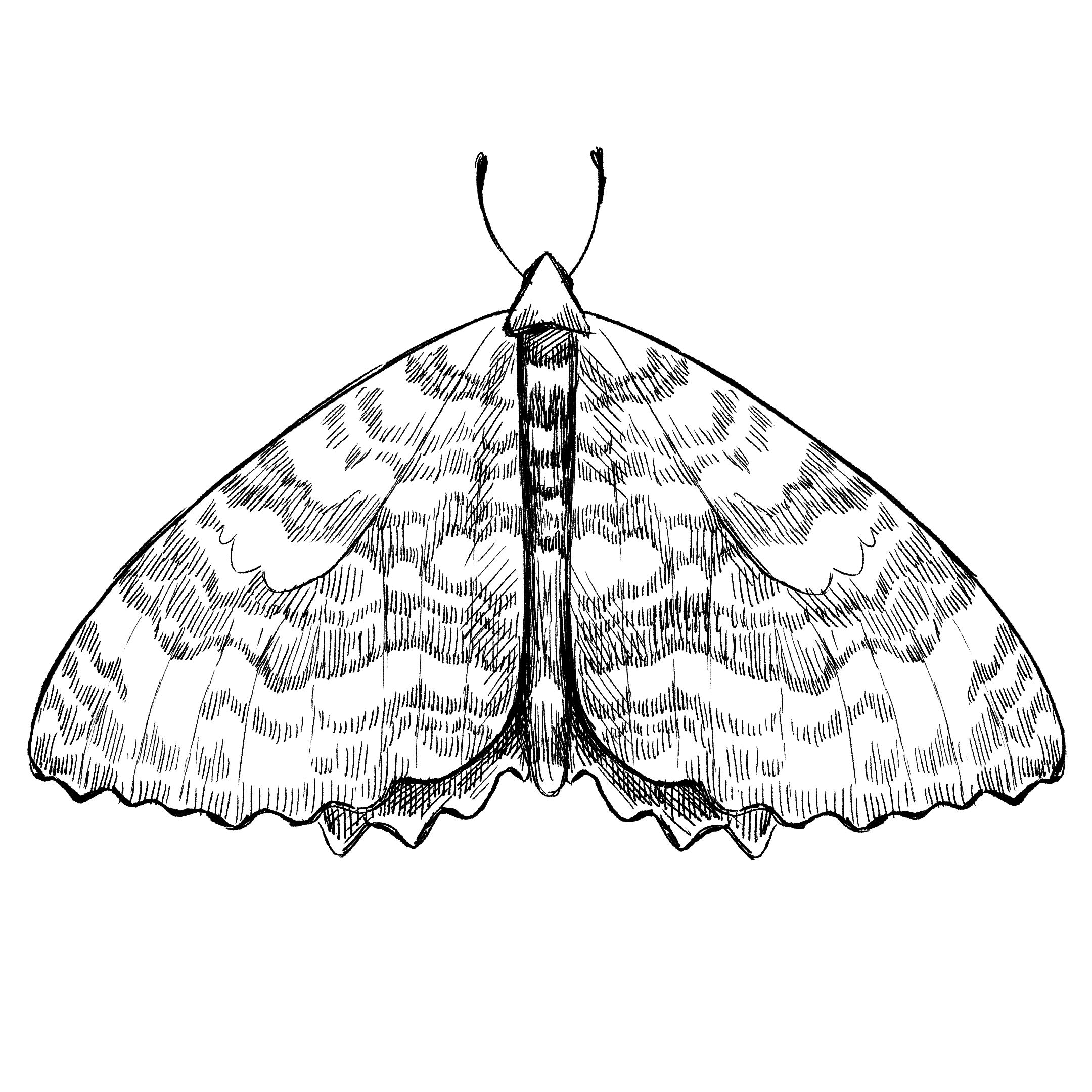 Audio Zine (Digital file)