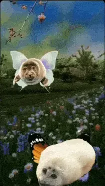 user avatar image for 'Ecto'