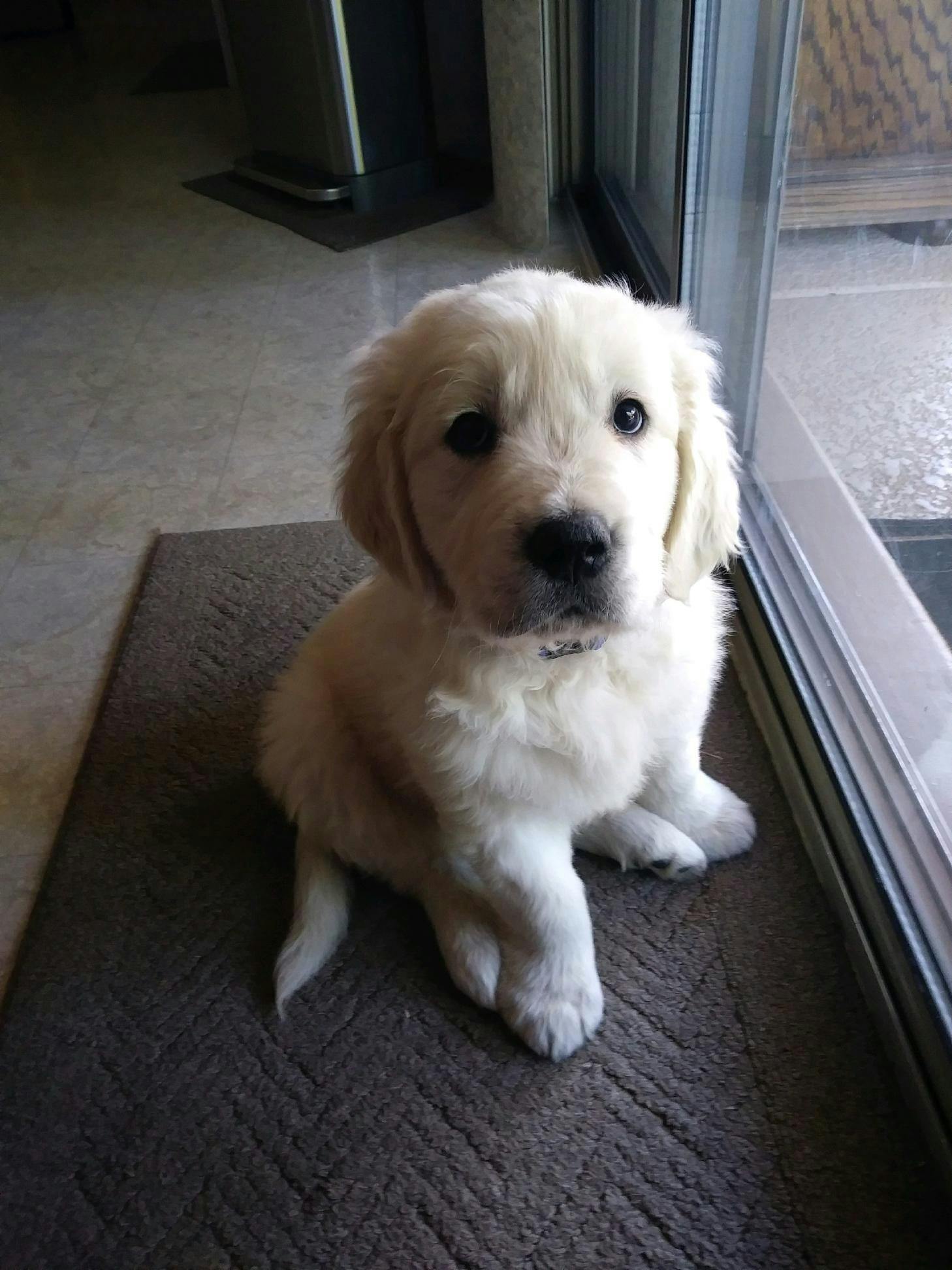 user avatar image for Anthony